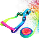 Colorful Rainbow Tie-Dye Collar Harness with Leash (No Pull) for dogs - Collar, Colours, Easy On, Harness, Leash, No Pull, Rainbow, Step In, Tie-Dye