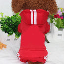 Sport Hoodie for dogs - Clothes, Hoodie, Sweater