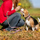 Floral Leash