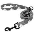 Active Leash