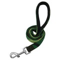 Active Leash