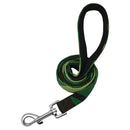 Active Leash