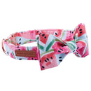 Watermelon Bow, Collar, Leash for dogs - Bow, Bow Tie, Collar, Leash, Melon, Watermelon