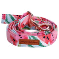 Watermelon Bow, Collar, Leash for dogs - Bow, Bow Tie, Collar, Leash, Melon, Watermelon