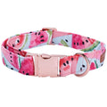 Watermelon Bow, Collar, Leash for dogs - Bow, Bow Tie, Collar, Leash, Melon, Watermelon