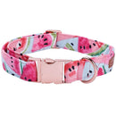 Watermelon Bow, Collar, Leash for dogs - Bow, Bow Tie, Collar, Leash, Melon, Watermelon