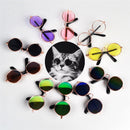 Glasses for Dogs and Cats for dogs - Cats, Dogs, Eyes, Glasses, Kittens, Puppies, Spectacles, Wearable