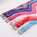 Bandana Scarf for dogs - Bandana, Necklace, Scarf, Towel