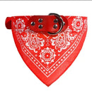 Bandana Scarf for dogs - Bandana, Necklace, Scarf, Towel