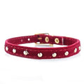 Classic Collar for Cats for dogs - Buckle, Cats, Collar