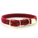 Classic Collar for Cats for dogs - Buckle, Cats, Collar