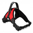 Value Harness (No-Pull) for dogs - Adjustable, Harness, Leash, No Pull, Strap, Vest