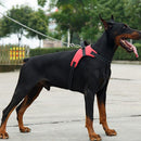 Value Harness (No-Pull) for dogs - Adjustable, Harness, Leash, No Pull, Strap, Vest