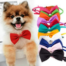 Classic Bow Ties for dogs - Bow, Bow Tie, Bow Ties
