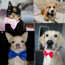 Classic Bow Ties for dogs - Bow, Bow Tie, Bow Ties