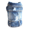 Cool Denim Coat for dogs - Coat, Denim, Jacket, Jeans