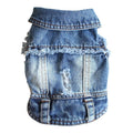 Cool Denim Coat for dogs - Coat, Denim, Jacket, Jeans
