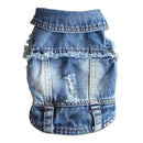 Cool Denim Coat for dogs - Coat, Denim, Jacket, Jeans