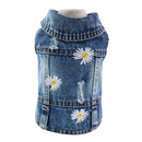 Cool Denim Coat for dogs - Coat, Denim, Jacket, Jeans