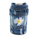 Cool Denim Coat for dogs - Coat, Denim, Jacket, Jeans