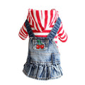 Cool Denim Coat for dogs - Coat, Denim, Jacket, Jeans