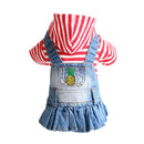 Cool Denim Coat for dogs - Coat, Denim, Jacket, Jeans