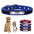 Classic Personalized Custom Collar for dogs - __label2:HappyDog's Choice, __label:Bestseller, Buckle, Collar, Custom, Engrave, ID, Name, Personal, Phone, Tag