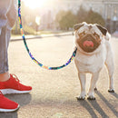 Groovy Leash