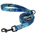 Groovy Leash