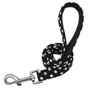 Groovy Leash