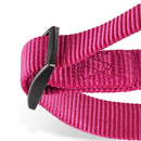 Martingale Collar for dogs - Behaviour, Choke, Collar, Greyhound, Halt, Martingale, Martingale Collar, Training Collar, Whippet