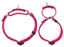Martingale Collar for dogs - Behaviour, Choke, Collar, Greyhound, Halt, Martingale, Martingale Collar, Training Collar, Whippet