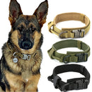 Heavy Duty Military Collar for dogs - Army, Collar, Military, Tactical, Training