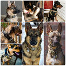 Heavy Duty Military Collar for dogs - Army, Collar, Military, Tactical, Training