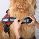 Personalized Harness - Custom Name & Phone Number (No Pull) for dogs - __label2:HappyDog's Choice, __label:Bestseller, Custom, Customizable, Customize Harness, Easy On, Engrave, Name, No-Pull, Personal, Personalized, Phone Number, Step In
