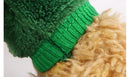 Green Dinosaur Hoodie for dogs - Dinosaur, Hoodie