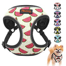 Happy Harness (No Pull) for dogs - Adjust, Collar, Happy, Harness, Lemon, No Pull, Pineapple, Reflective, Vest, Watermelon