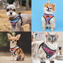 Happy Harness (No Pull) for dogs - Adjust, Collar, Happy, Harness, Lemon, No Pull, Pineapple, Reflective, Vest, Watermelon