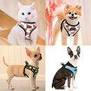 Happy Harness (No Pull) for dogs - Adjust, Collar, Happy, Harness, Lemon, No Pull, Pineapple, Reflective, Vest, Watermelon
