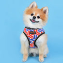 Happy Harness (No Pull) for dogs - Adjust, Collar, Happy, Harness, Lemon, No Pull, Pineapple, Reflective, Vest, Watermelon
