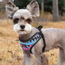 Happy Harness (No Pull) for dogs - Adjust, Collar, Happy, Harness, Lemon, No Pull, Pineapple, Reflective, Vest, Watermelon