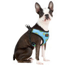 Happy Harness (No Pull) for dogs - Adjust, Collar, Happy, Harness, Lemon, No Pull, Pineapple, Reflective, Vest, Watermelon