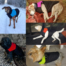 Everyday Winter Vest for dogs - Coat, Jacket, Snow, Vest, Warm, Winter