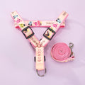 Cartoon Harness (No-Pull)