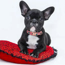 Polygonal Personalized Collar