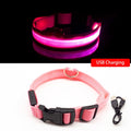 Rechargeable LED Glow Collar for dogs - __label:Bestseller, Chargeable, Collar, LED, Light, Safety, USB