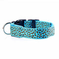 Leopard LED Glow Collar