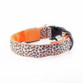 Leopard LED Glow Collar