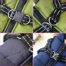 Cargo Vest for dogs - Cargo, Coat, Jacket, Vest, Warm, Winter