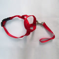 Pet Safe Gentle Halt Head Collar